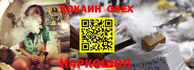 apvp Нальчик