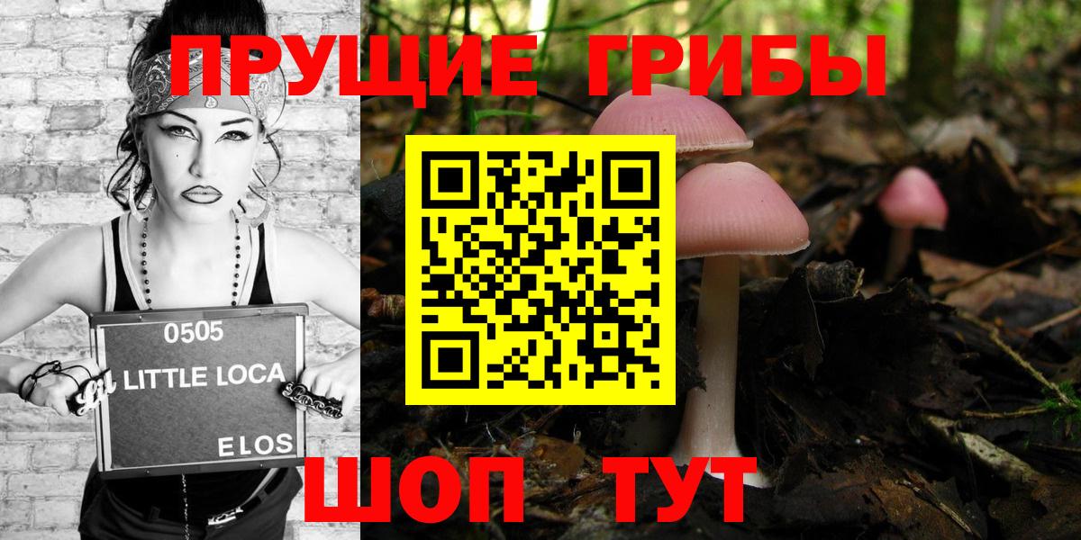 Псилоцибиновые грибы Magic Shrooms  Вход с VPN  Ступино  Галлюциногенные грибы GOLDEN TEACHER 