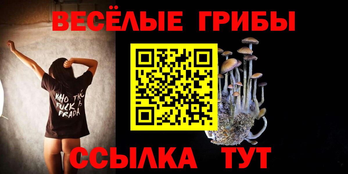 Псилоцибиновые грибы Magic Shrooms Ступино