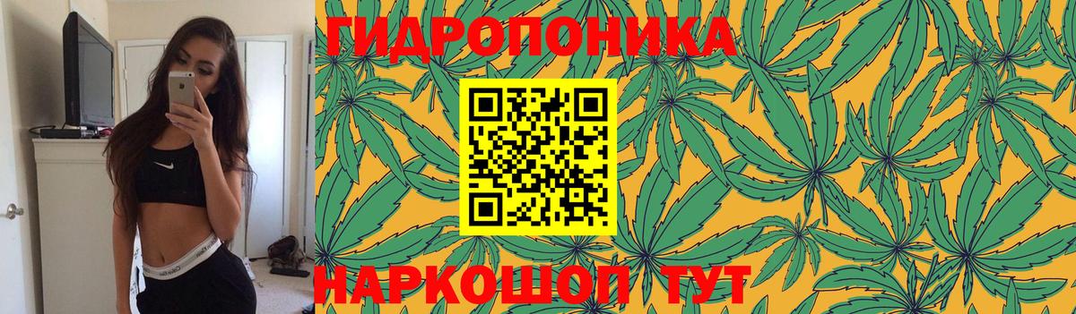 Канабис SATIVA & INDICA Ступино